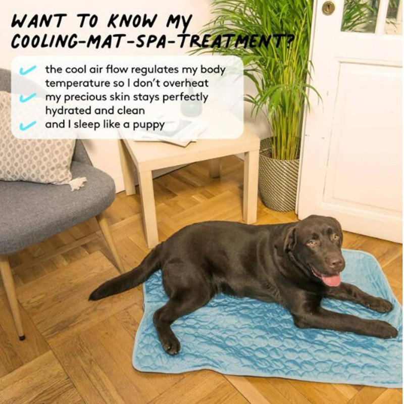 De ultieme koele hondenmat, ad - Cooling Blanket Hot Sleepers recensie en prijs